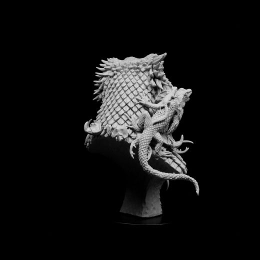 Pogona