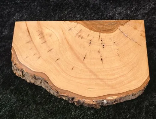 Sockel mit Rindenkante