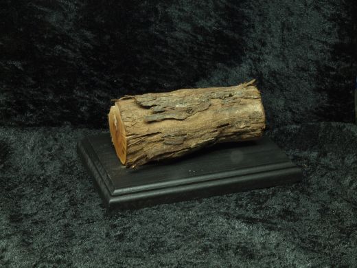 Sondersockel mit schwarzem Untersockel