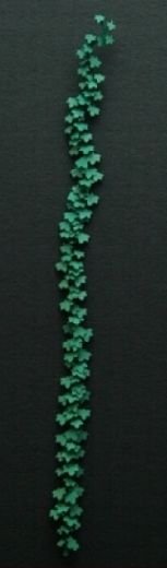 Green-Line GL-35-050 02- Efeuranken I   1:32/35