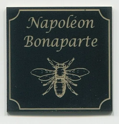 Napoleon Bonaparte
