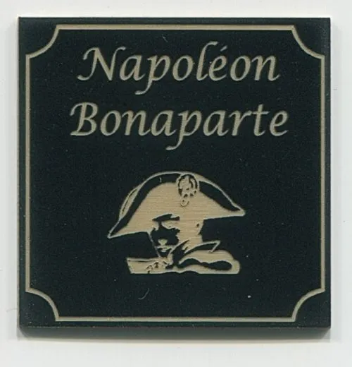 Napoleon Bonaparte