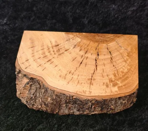 Sockel mit Rindenkante