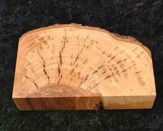 Sockel mit Rindenkante