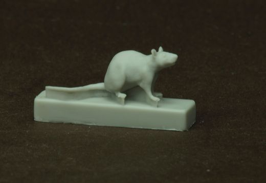 15 verschiedene Ratten