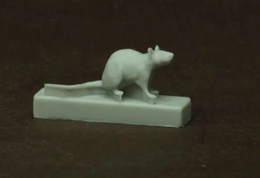 15 verschiedene Ratten