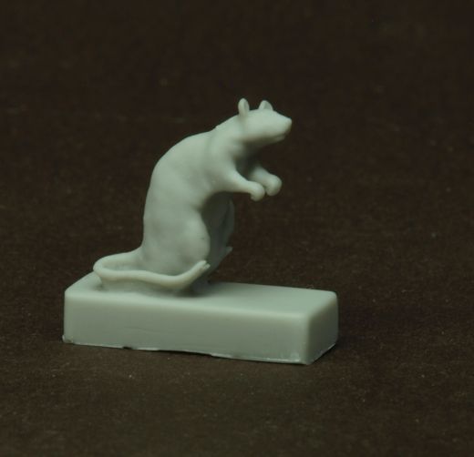15 verschiedene Ratten