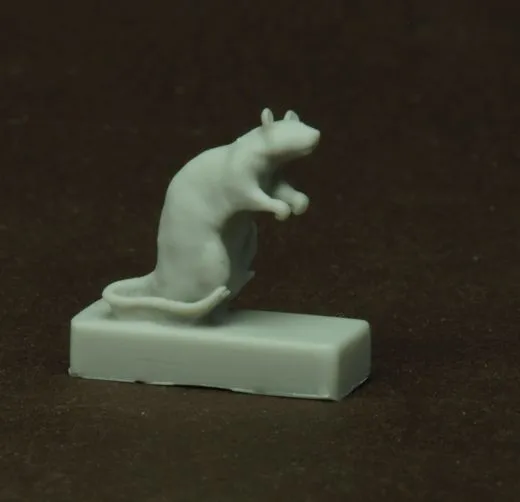 15 verschiedene Ratten