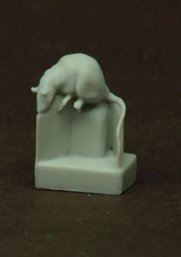 15 verschiedene Ratten