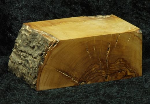 Sockel mit Rindenkante
