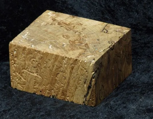 Base with many worm holes