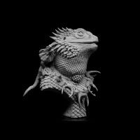 Pogona