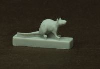 15 verschiedene Ratten