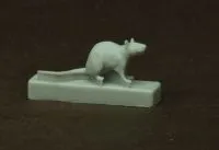 15 rats (Set)