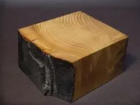 Base with natural edge