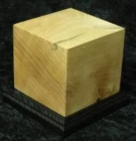 Base with black base