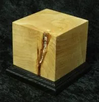 Base with black base